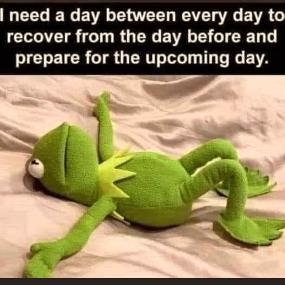 Meet your Posher, Nicole - Picture 1 of 1